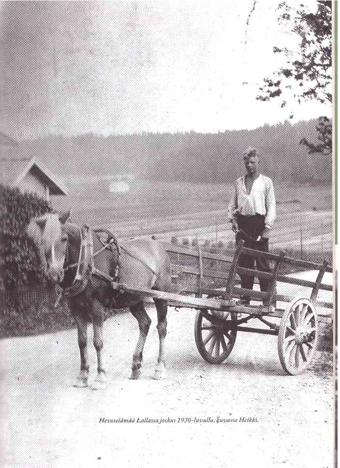 Hevosel&auml;m&auml;&auml; Lallassa joskus 1930-luvulla, kuvassa Heikki