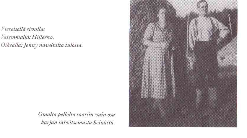 Hein&auml;t&ouml;iss&auml; omalla pellolla